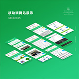 外貿網站建設 外貿網站建設